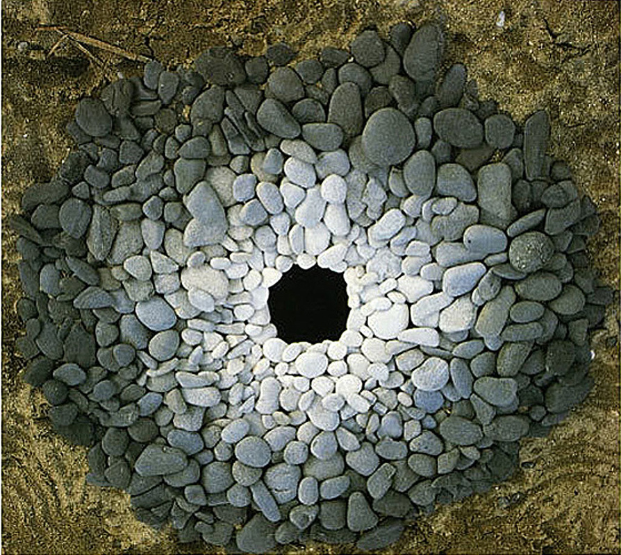 Andy Goldsworthy Natural Forms